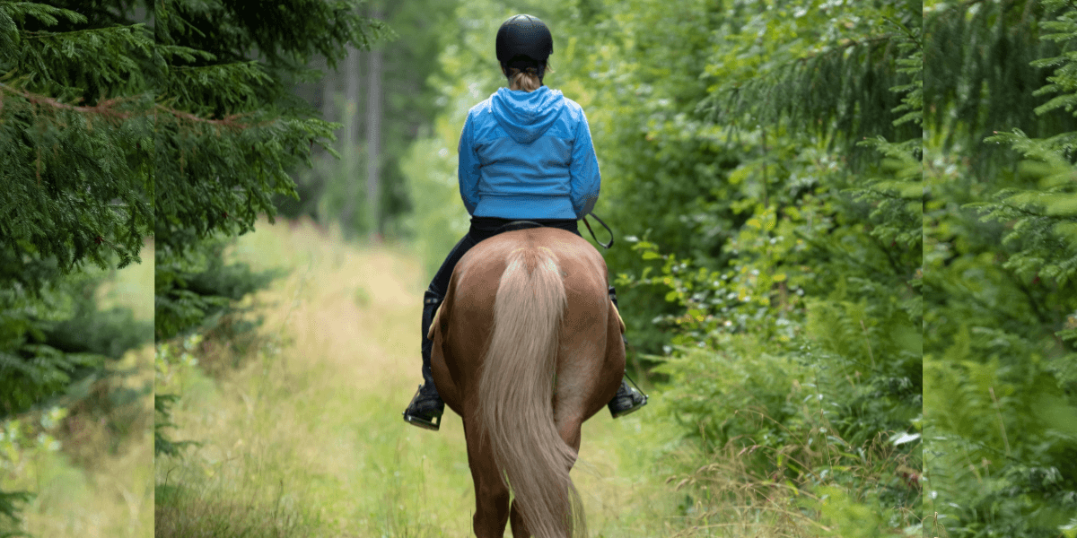 paseos a caballo