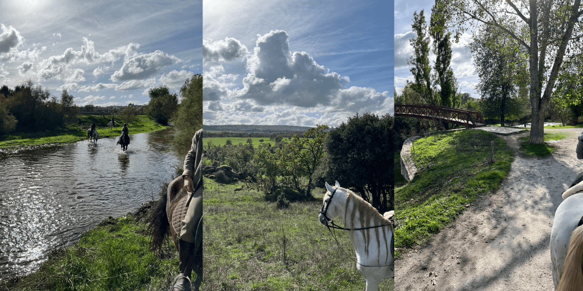 Paseos y rutas a caballo