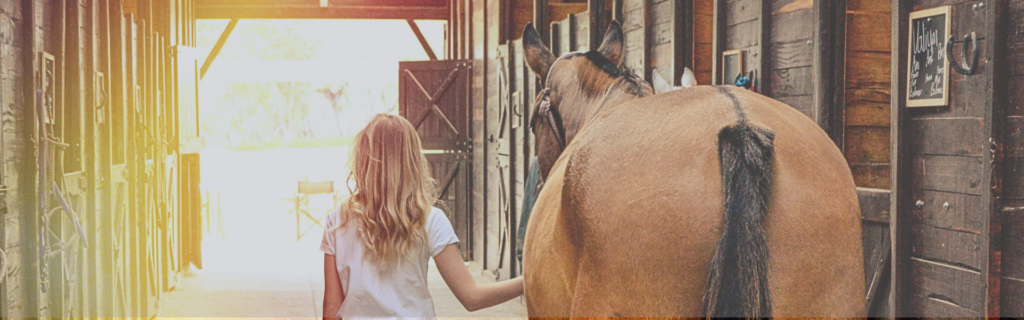 Cambios de Temperatura y Cólicos en Caballos Guía Preventiva