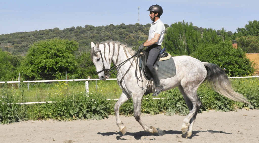 Cómo empezar a montar a caballo