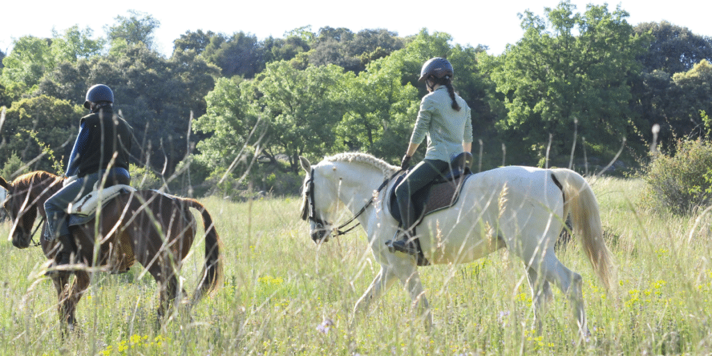 Rutas y paseos a Caballo en Madrid